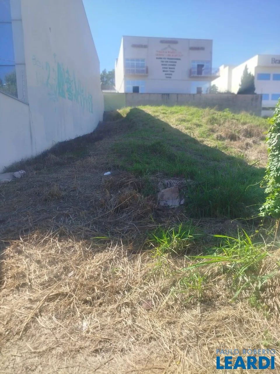TERRENO - RESIDENCIAL SÃO LUIZ - SP - Foto 2
