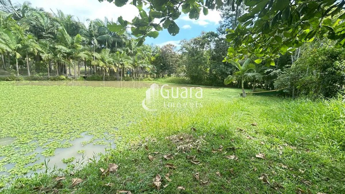 Terreno em Guaramirim SC - Foto 4