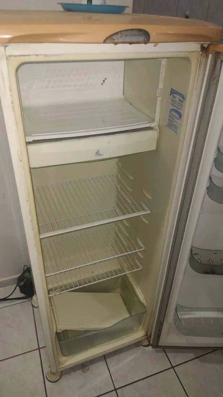 Geladeira Eletrolux 110V com transformador 