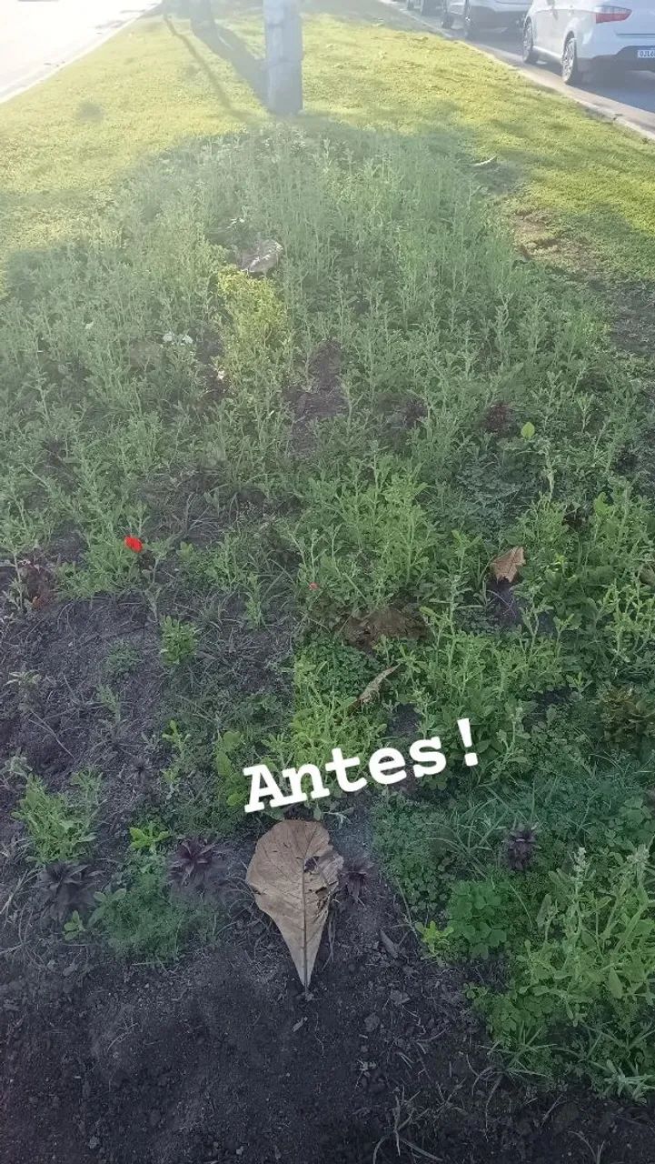 Jardineiro 