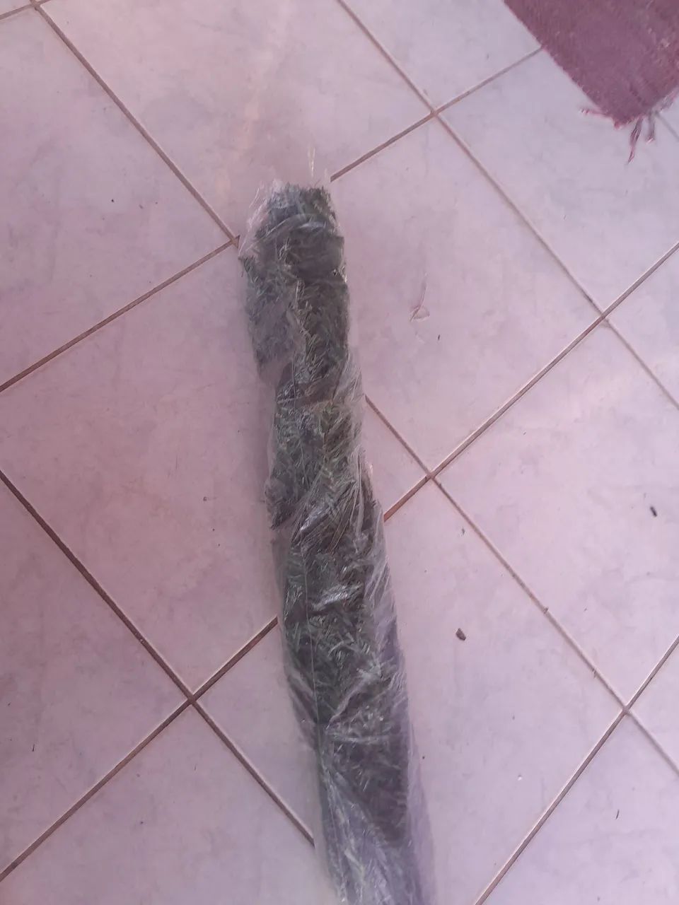 Avore de natal