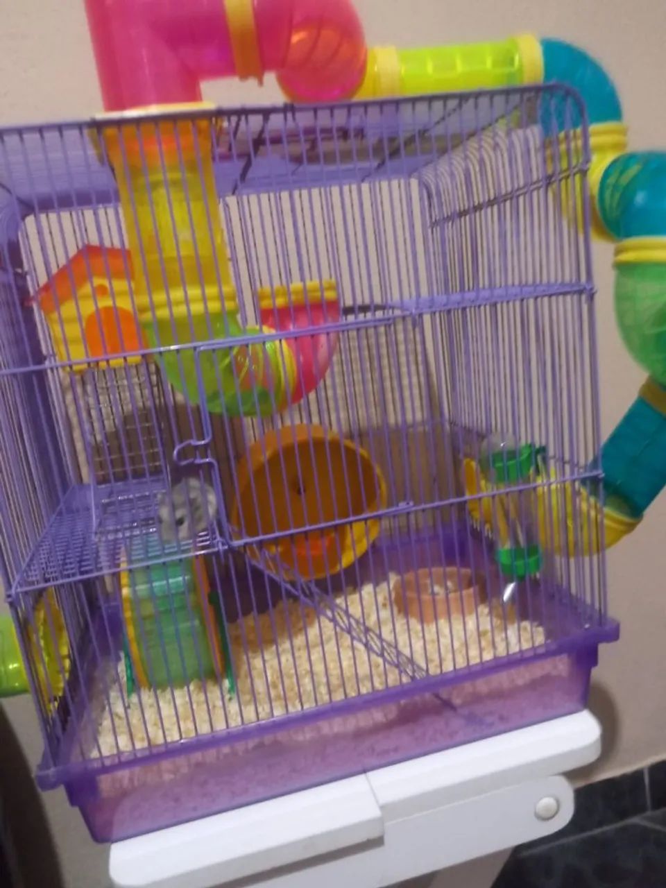 Gaiola completa de hamster - Foto 2