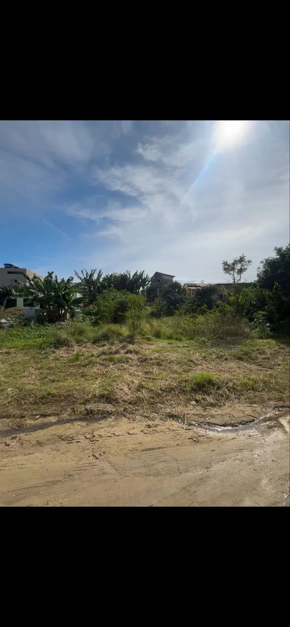 Lote Nova Iguaba  - Foto 2