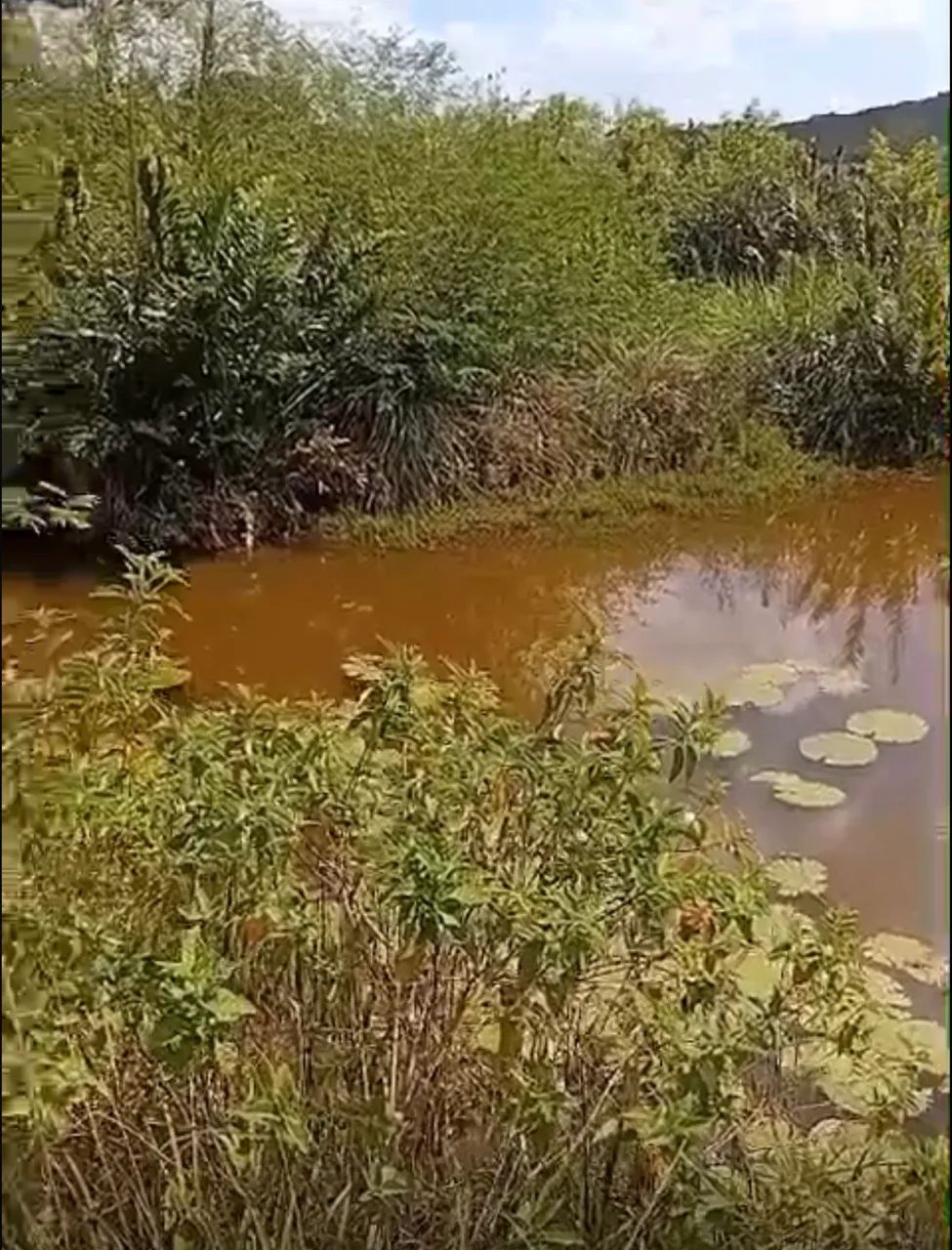 Terreno grande com água!!! Urgente - Foto 3
