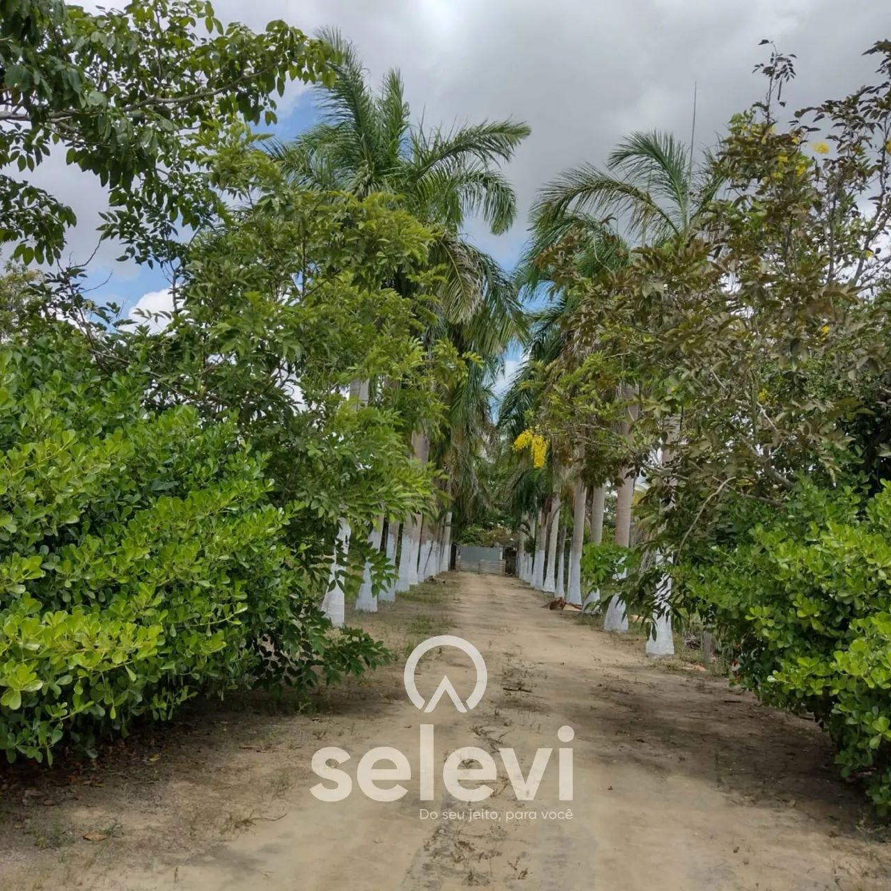 Chácara à venda em Satuba - 11.300m², Toda murada, Portal dos Gregórios II - Foto 3