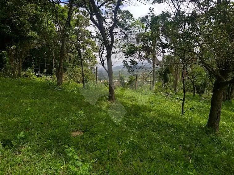 Terreno com 6.729 m² à venda, Encantada, Garopaba/SC - Foto 5