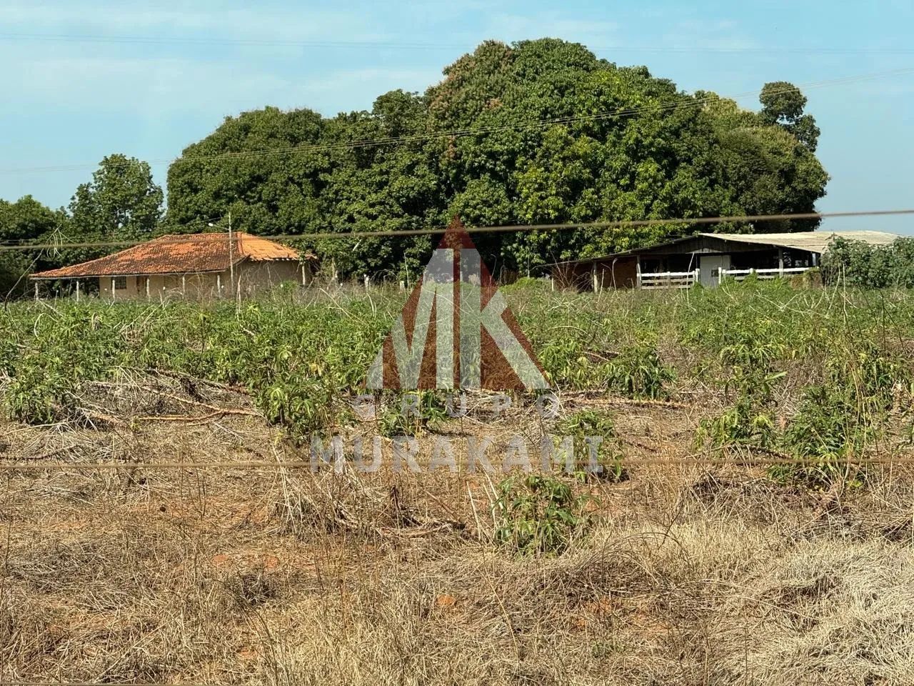 FAZENDA - QUERÊNCIA DO NORTE - Foto 4