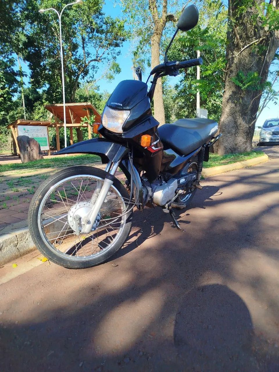 Honda pop 