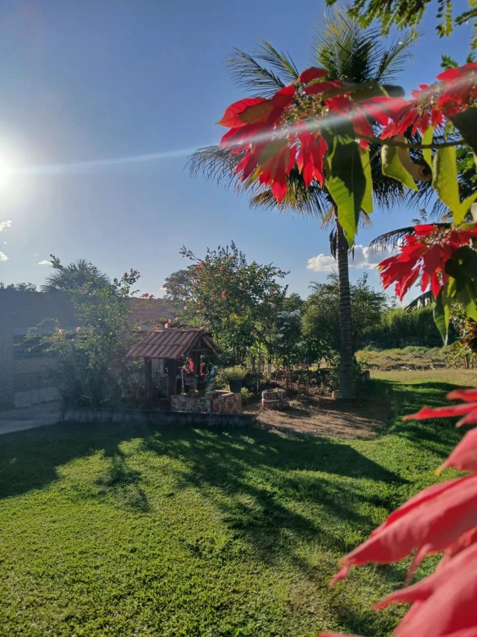 Vendo chácara/ sítio em São João da Aliança - GO - Foto 5