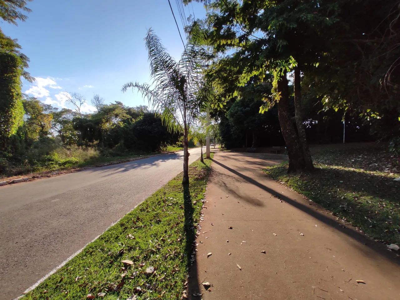 ÁREA C/ 22.000M² / GOIÂNIA - Foto 4