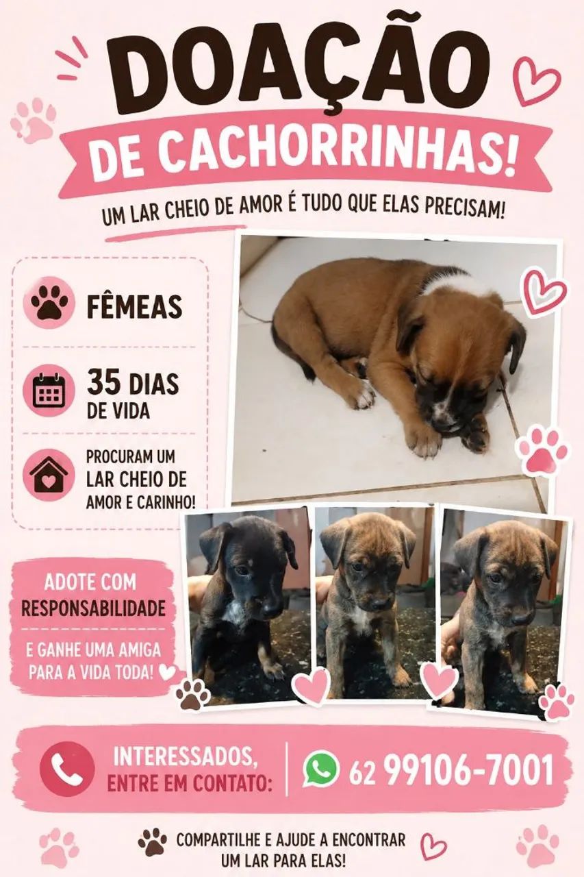 Cachorros  - Foto 2
