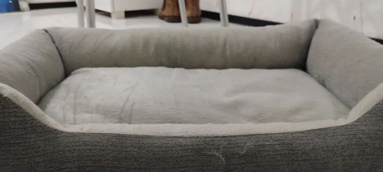 Cama de gato e cachorro