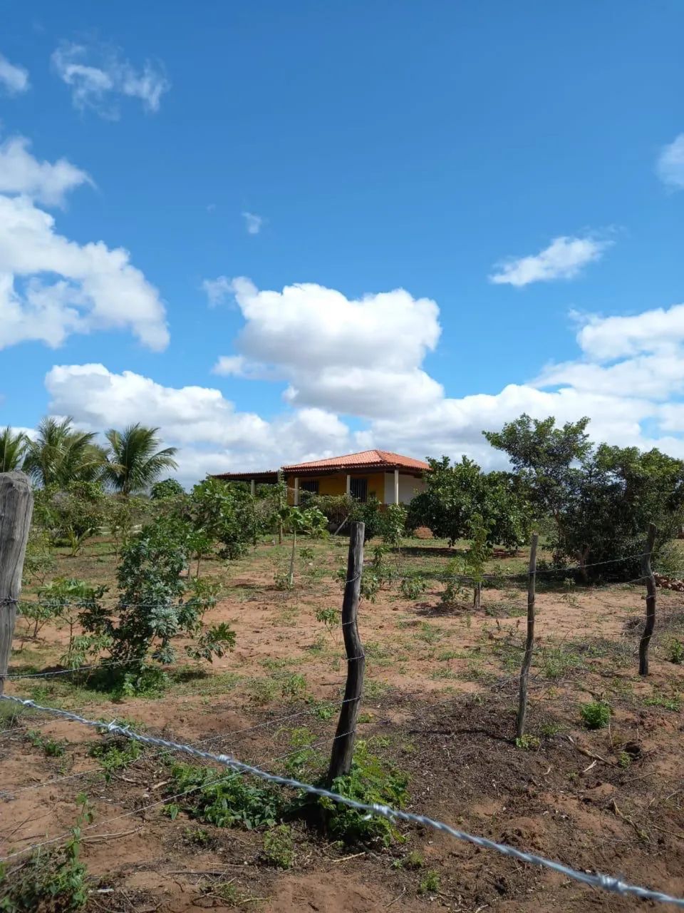 Terreno em Euclides da Cunha - Foto 4