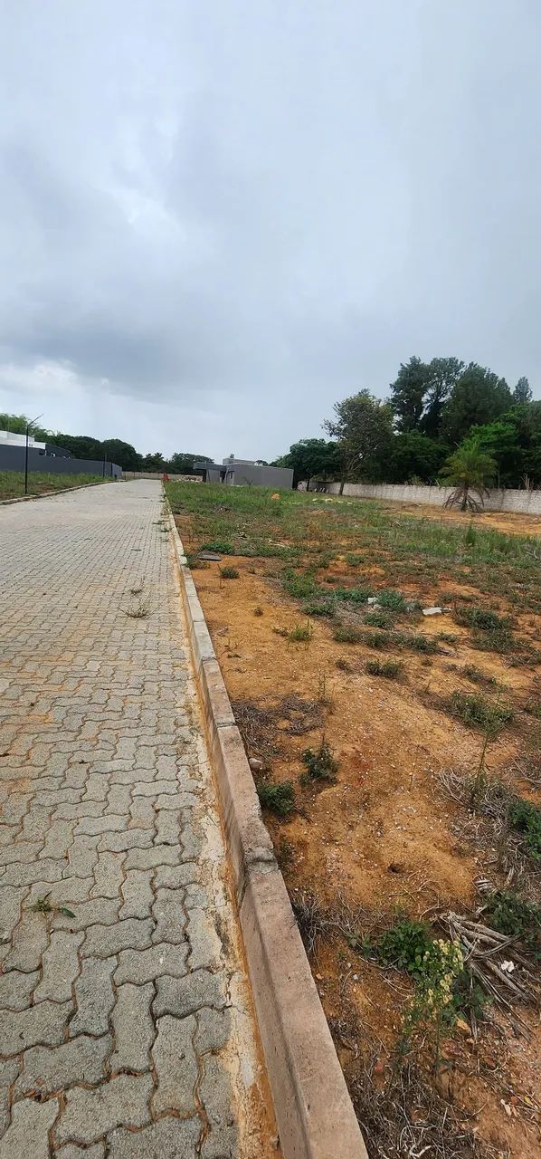 Oportunidade de lote no Tororo 