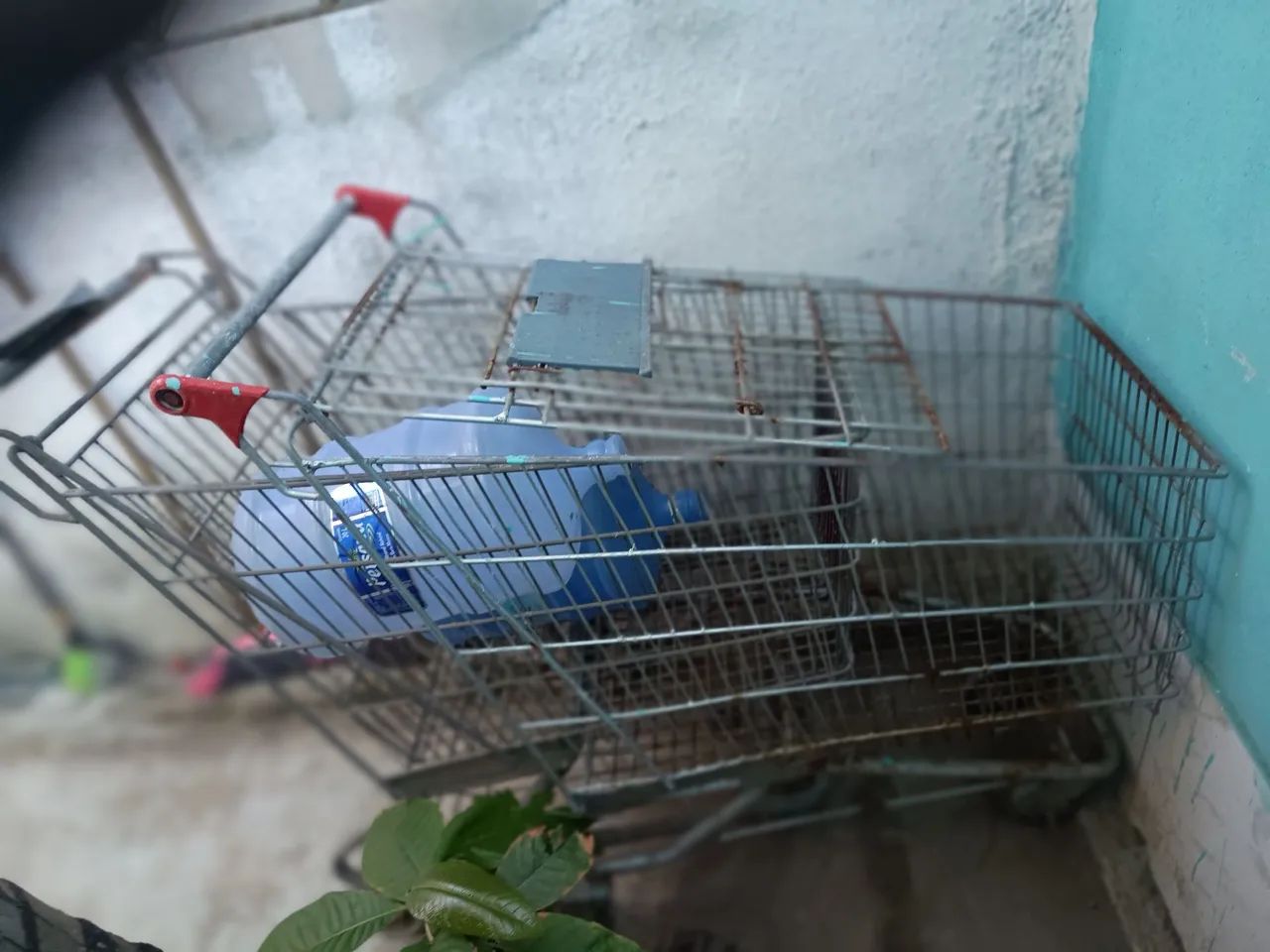 Carrinho de mercado  - Foto 2