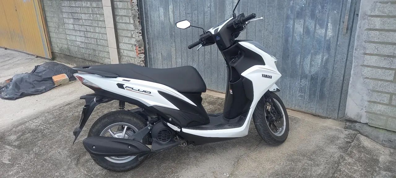 Fluo hybrida - Foto 2