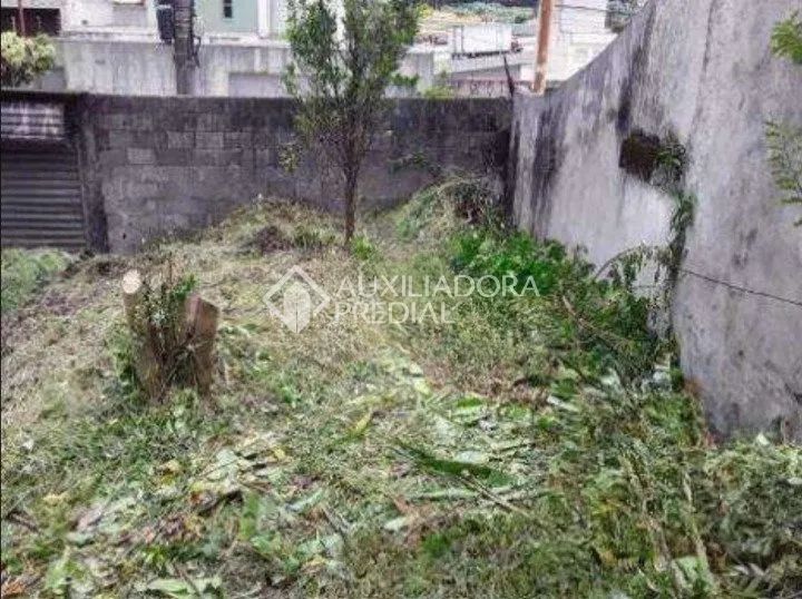 TERRENO PLANO COM 250 M² - PARQUE DOS PÁSSAROS - SÃO BERNARDO DO CAMPO - Foto 3