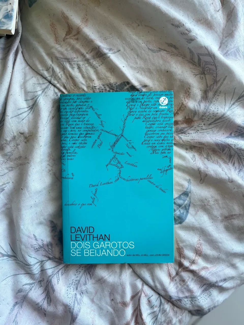 Dois garotos se beijando David Levithan