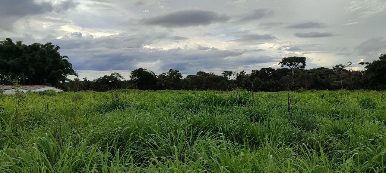 Chácara em Bela VISTA  - Foto 5