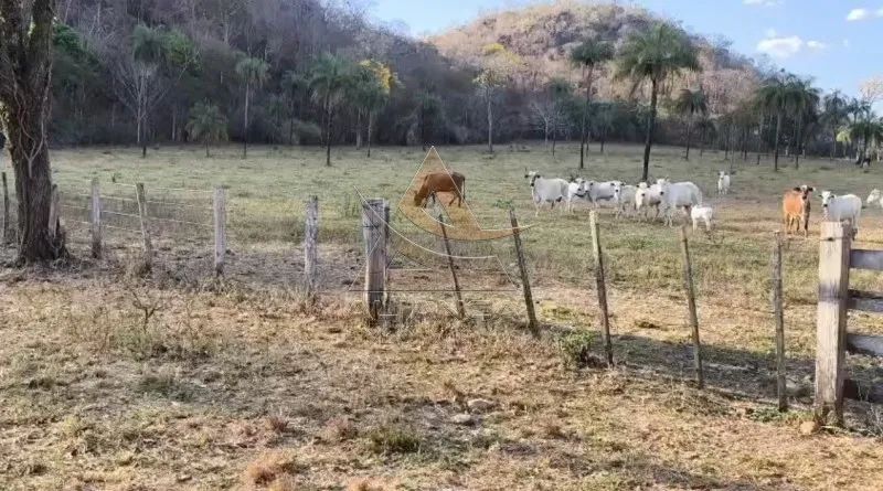 Fazenda - Natividade - Zona Rural - Foto 2