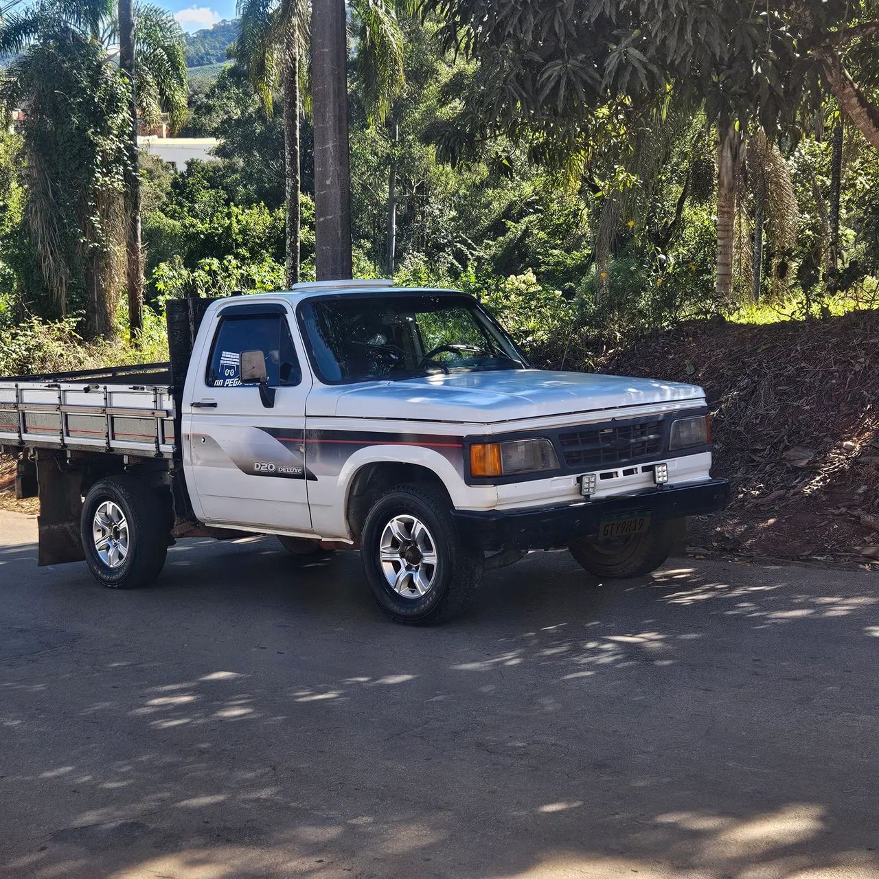 Chevrolet D-20 D-20 S / Luxe 3.9/4.0 Diesel 1995