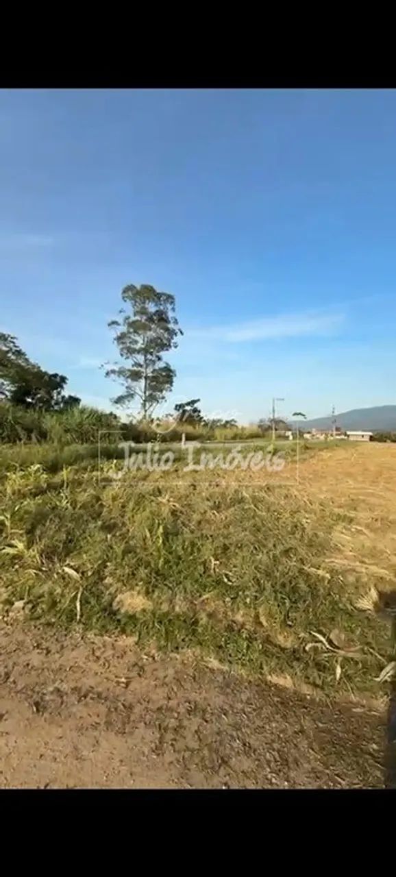 Terreno amplo em São João Batista - Foto 2