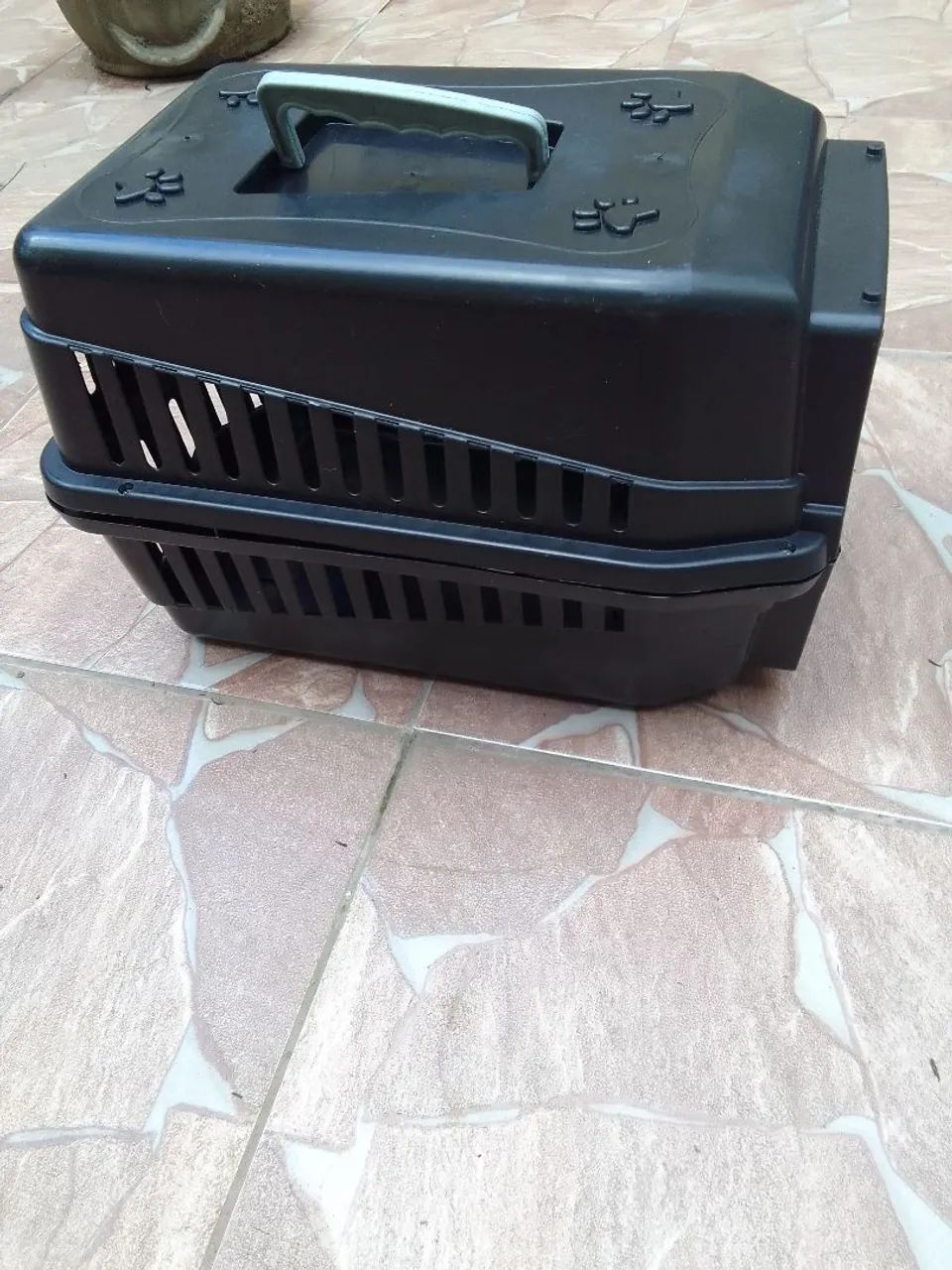 Transporte de pets