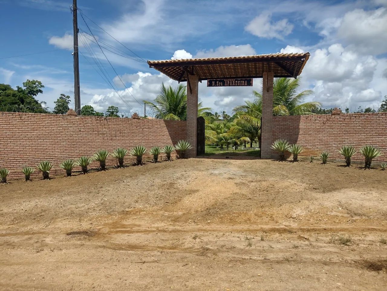 Vendo chácara  com produção  - Foto 4