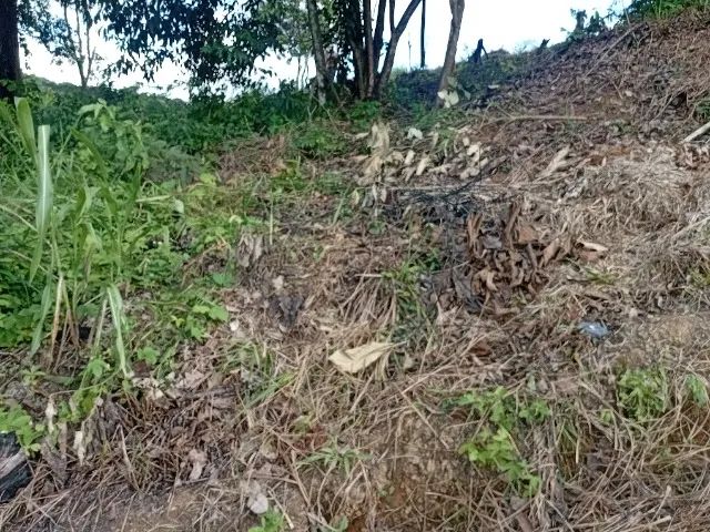 Terreno bom e próximo ao Novo Atacarejo Curado 
