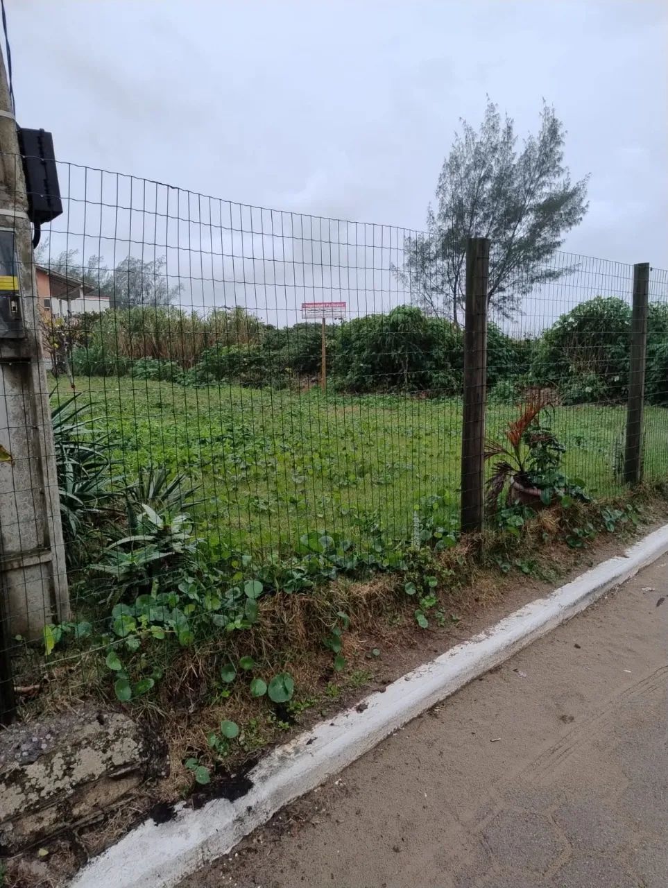 Terreno com 952,98m² no Morro das Pedras, Florianópolis. - Foto 2