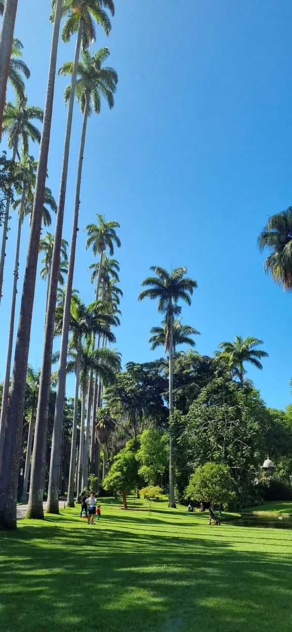Foto - Rio de Janeiro - Flamengo