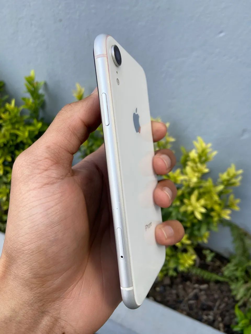 iPhone XR 128gb - Celulares e Smartphones - Piedade, Jaboatão dos