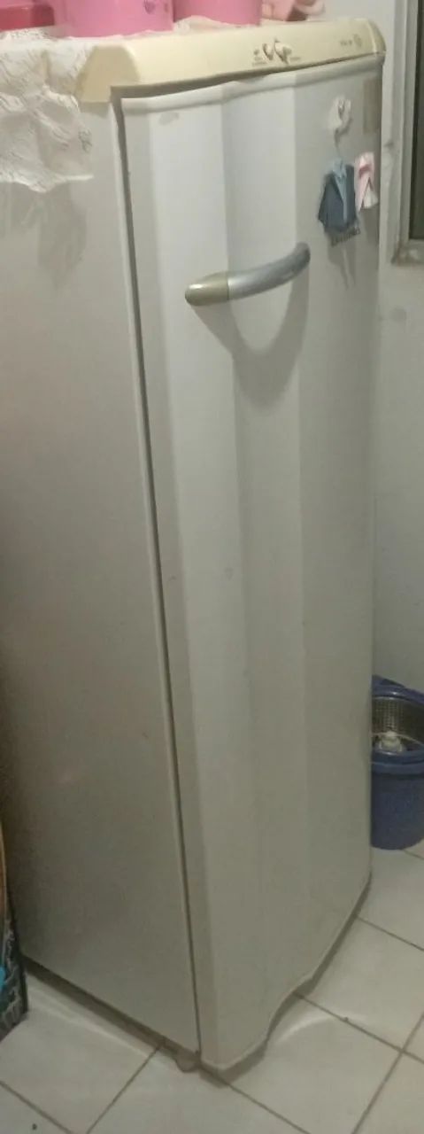Vendo geladeira 