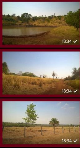 Vendo fazenda em Luzinopolis-To, 90 alqueires com 70 formado - Foto 5