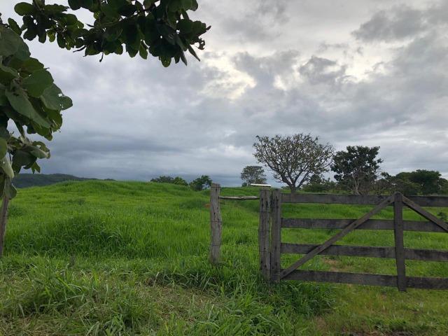 240 Alq. 160 km de Goiânia. (Gado e Soja) - Foto 17