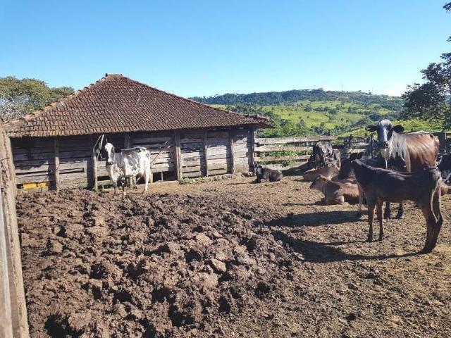 Fazenda de 100 ha em Sacramento/MG - Foto 4