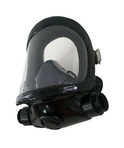 Respirador Facial Panorâmico P/2 Filtros Plastcor
