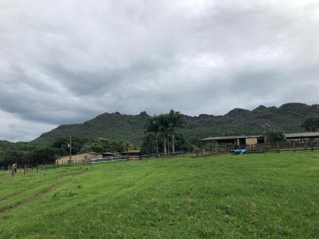 240 Alq. 160 km de Goiânia. (Gado e Soja) - Foto 4