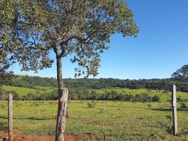 Fazenda de 100 ha em Sacramento/MG - Foto 11