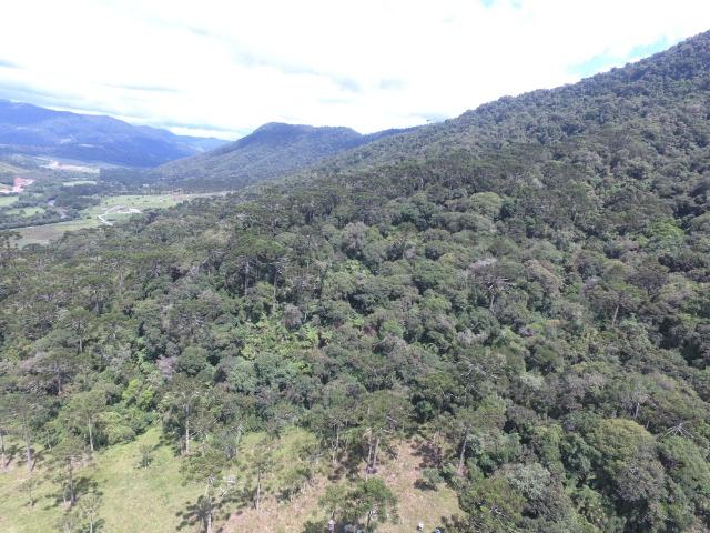 Sitio em Urubici /chácara em Urubici /área rural em Urubici - Foto 14