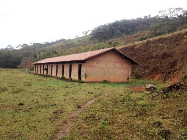 Fazenda rural à venda, Providência, Teresópolis. - Foto 8