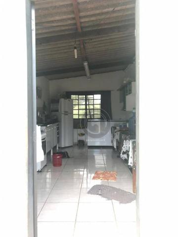 Sítio 11,8 ha na região distrito da guia - Foto 20