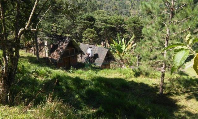 Sítio rural à venda, Albuquerque, Teresópolis. - Foto 6