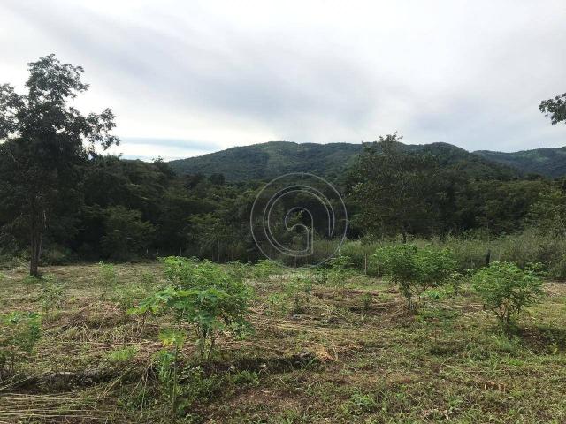 Sítio 11,8 ha na região distrito da guia - Foto 13