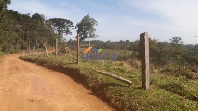 Campo alegre, campinas - Foto 8