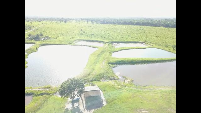 Oportunidade Única - Vendo Fazenda 1000 ha - Foto 4
