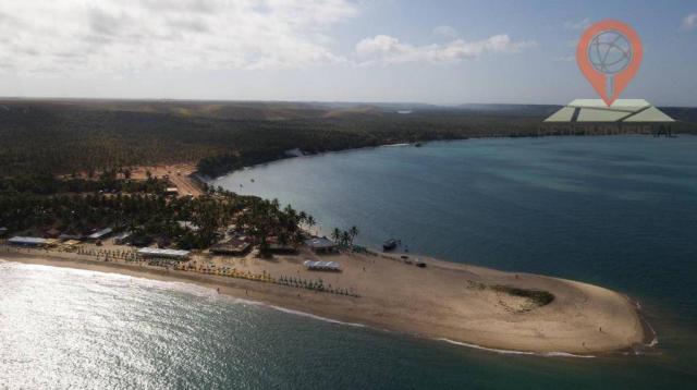 Terreno à venda, 617 m² por R$ 300.000 - Piaçavas - Barra de São Miguel/AL