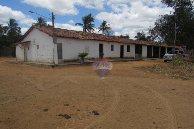 Excelente propriedade, pronta de tudo. Porteira Fechada. - Foto 20