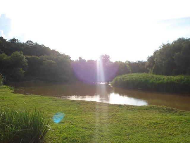 Lindo Sítio com fundos para o Rio da Várzea - Foto 15