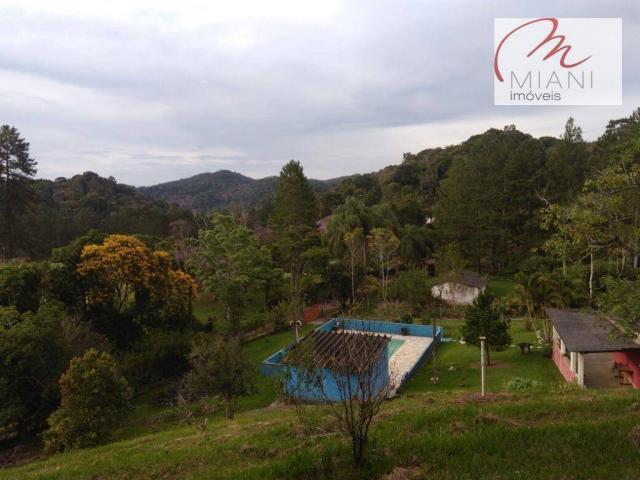 Chácara residencial à venda, Jardim das Palmeiras, Juquitiba. - Foto 16